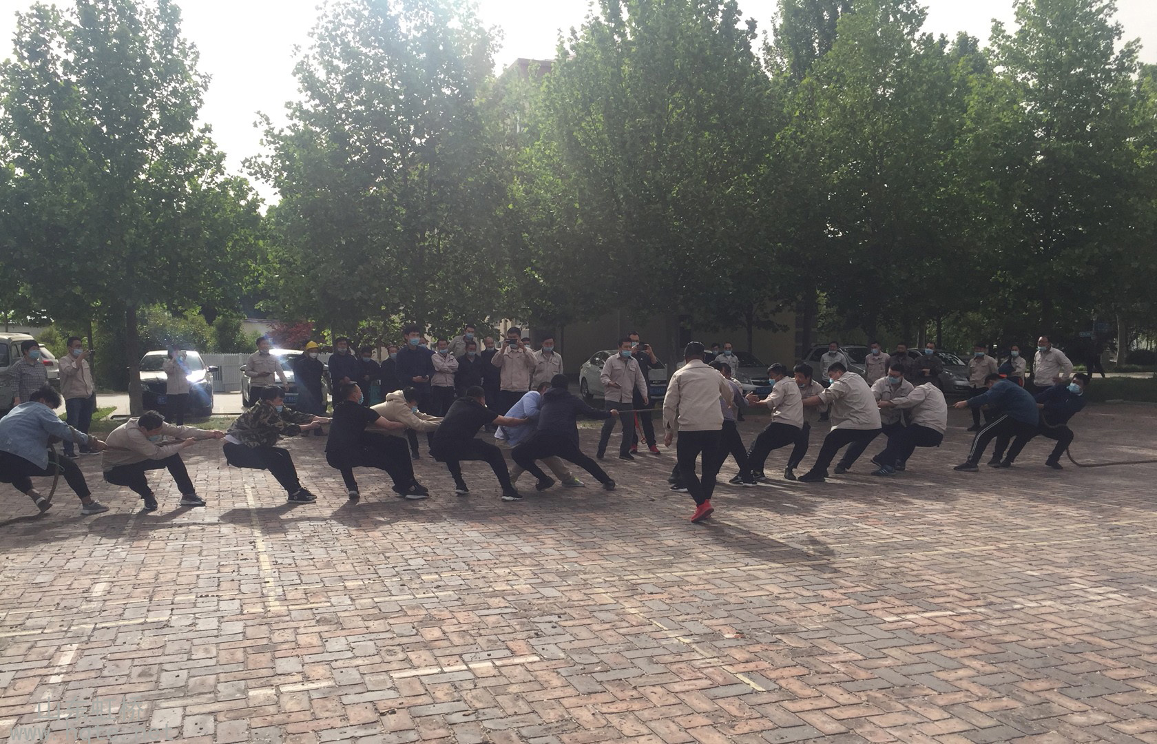 1589351403416180.jpg 1589351403416180.jpg