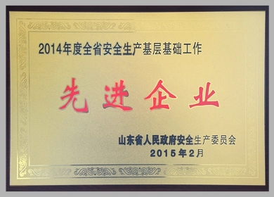 2014年度“全省安全生产基层基础工作先进企业”.jpg