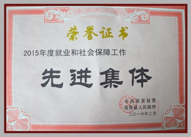 2015年度“高青县就业和社会保障工作先进集体”.jpg