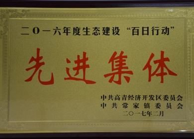 2016年“高青县生态建设百日行动先进集体”.jpg